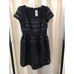 LOFT Petite Cocktail Dress in Black